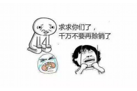 赞皇赞皇的要账公司在催收过程中的策略和技巧有哪些？